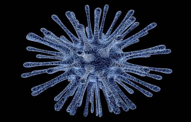 Chandipura Virus से गुजरात में दहशत, कई बच्चों की मौत के बाद सरकार ने बढ़ाई निगरानी